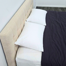 Cotton Waterproof Pillow Protector